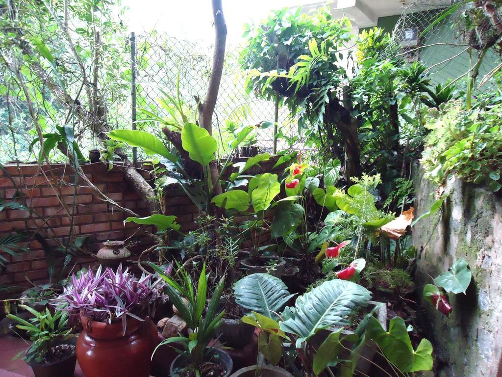 Green Woods Guest Kandy Luaran gambar